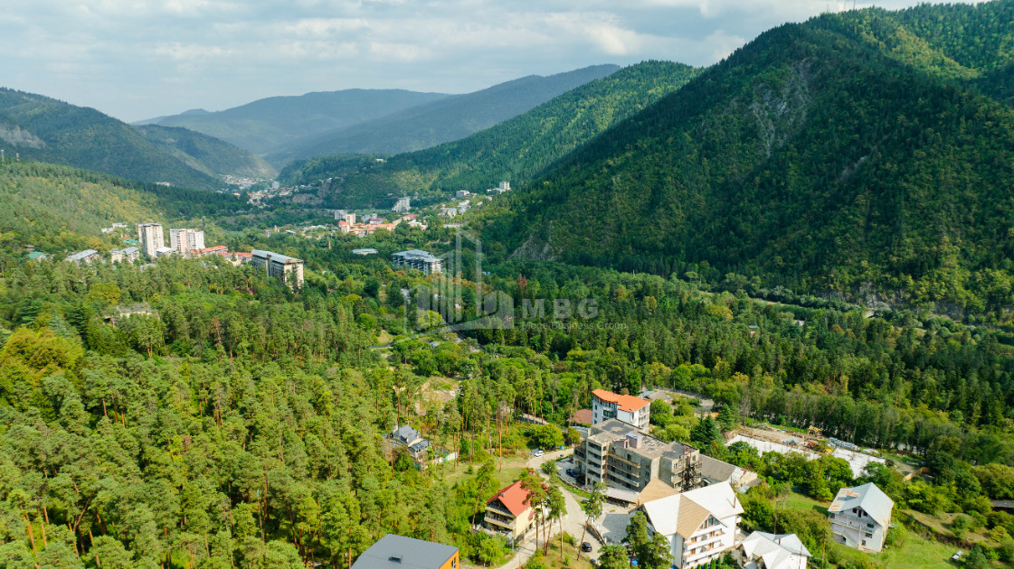 For Sale Commercial Likani Borjomi Samtskhe   Javakheti