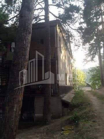 For Sale House Villa Tsaghveri Borjomi Samtskhe   Javakheti