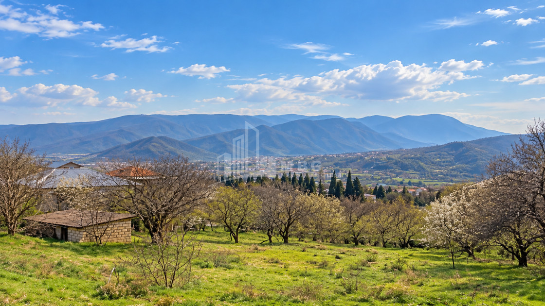 For Sale Country Land In Tsitsamuri, Mtskheta