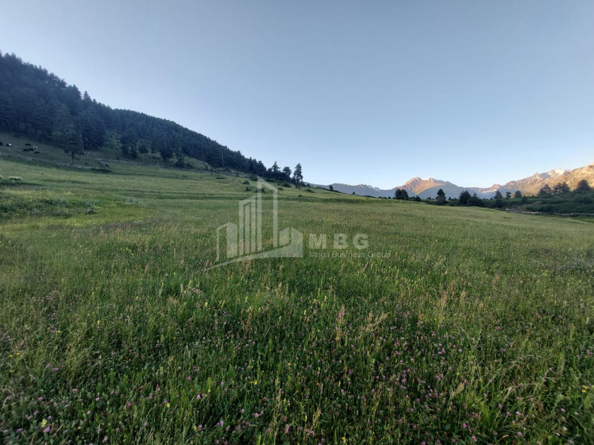 For Sale Land Tsvirmi Mestia Samegrelo   Upper Svaneti