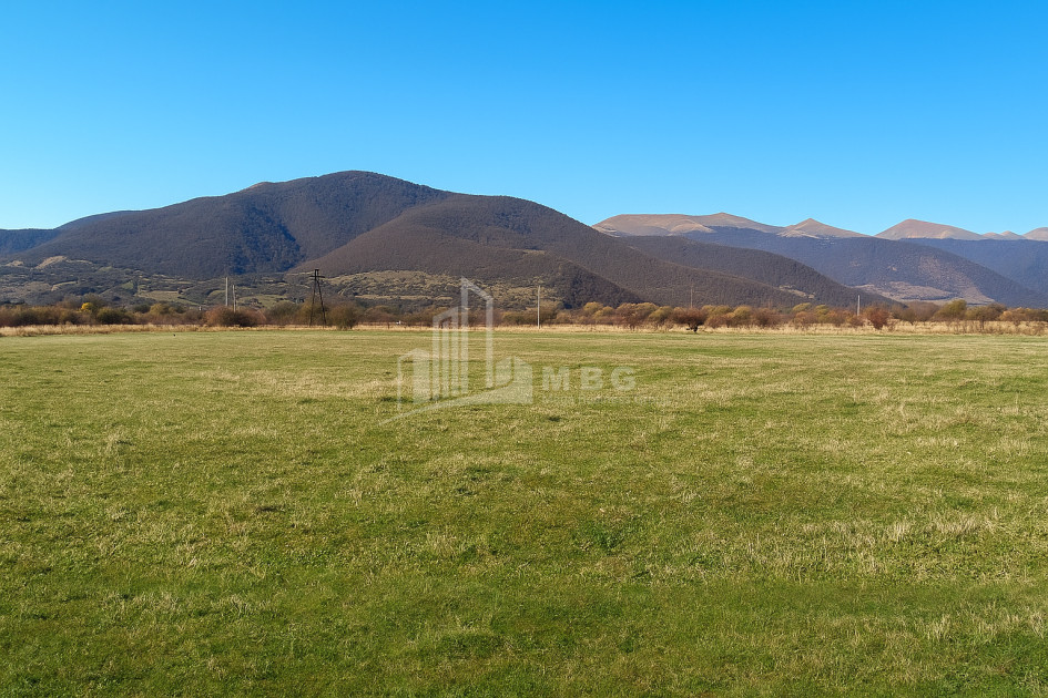 Продается Земля Годжиани Тианети Мцхета   Мтианети