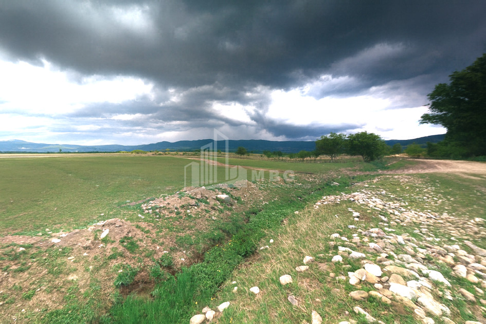 For Sale Vineyard - Chateau Land, in Manavi