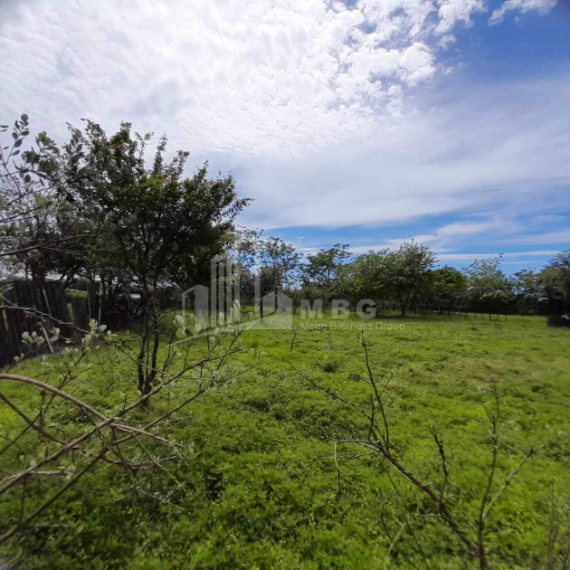 For Sale Land Grigoleti Lanchkhuti Municipalities of Guria