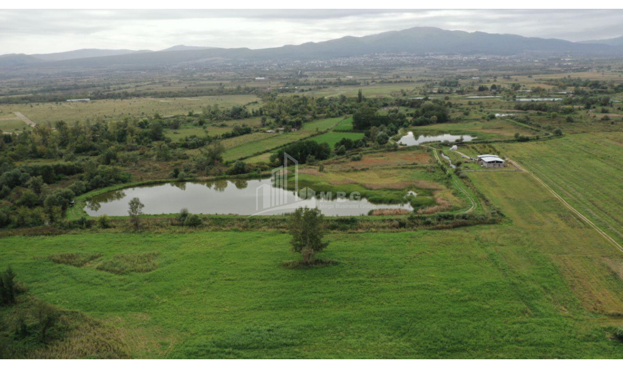 For Sale Vineyard - Chateau Land, in Telavi