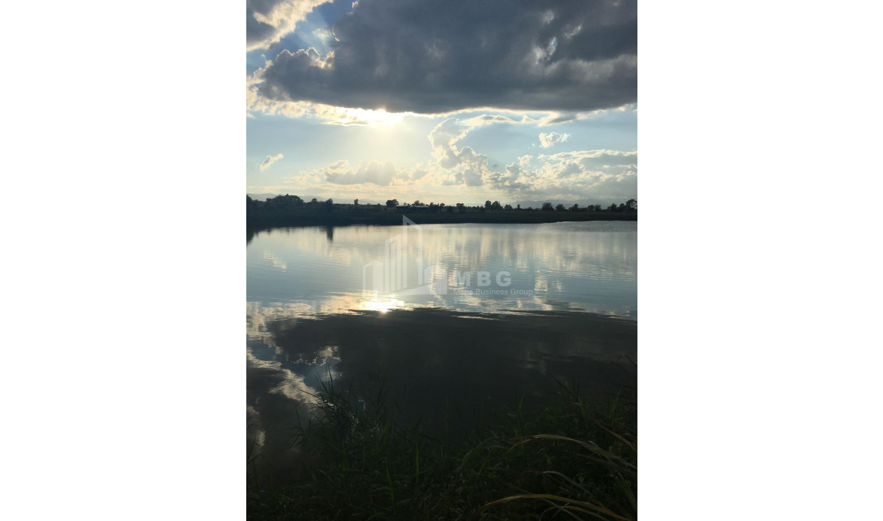 For Sale Vineyard - Chateau Land, in Telavi