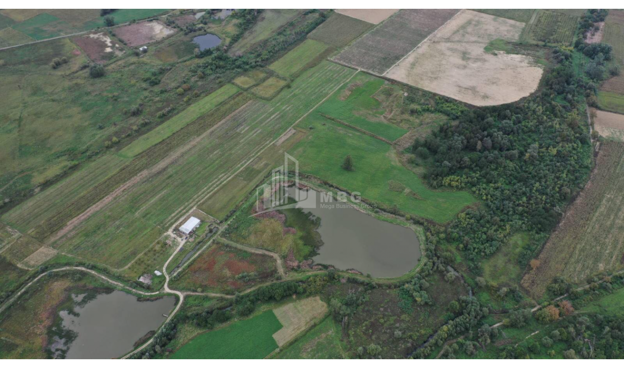 For Sale Vineyard - Chateau Land, in Telavi