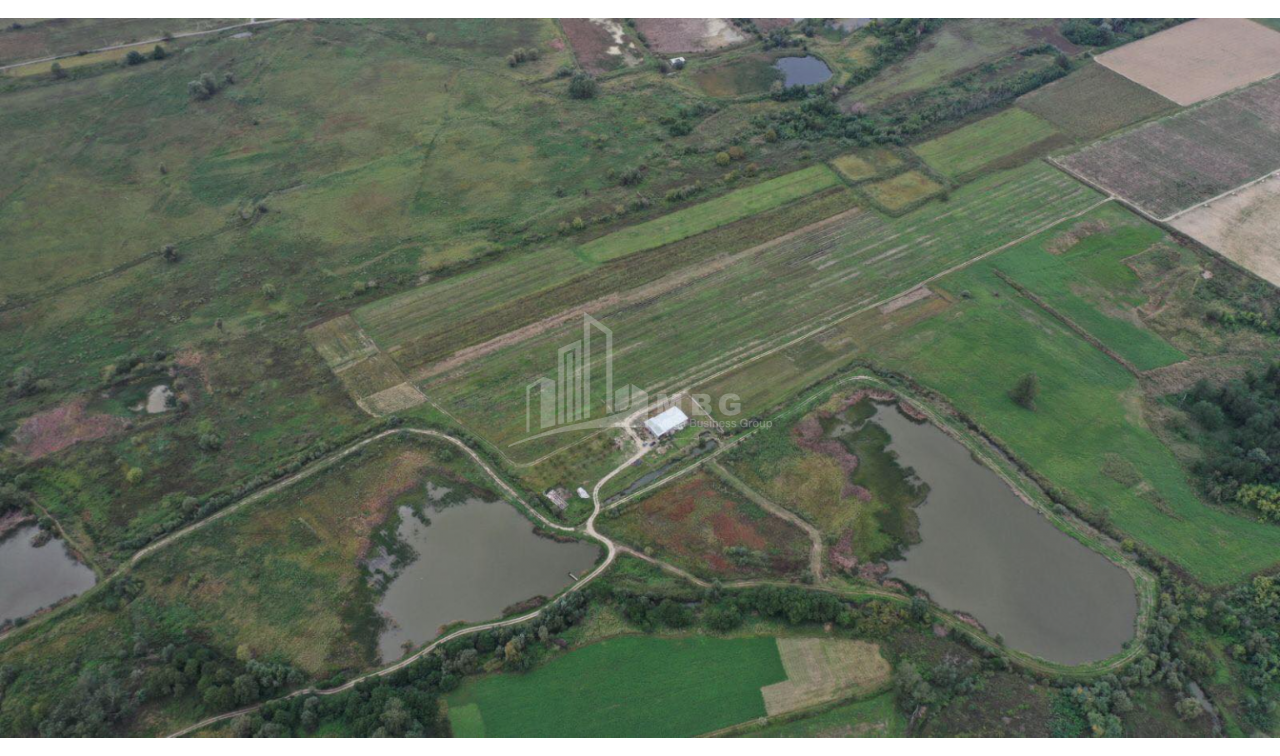 For Sale Vineyard - Chateau Land, in Telavi