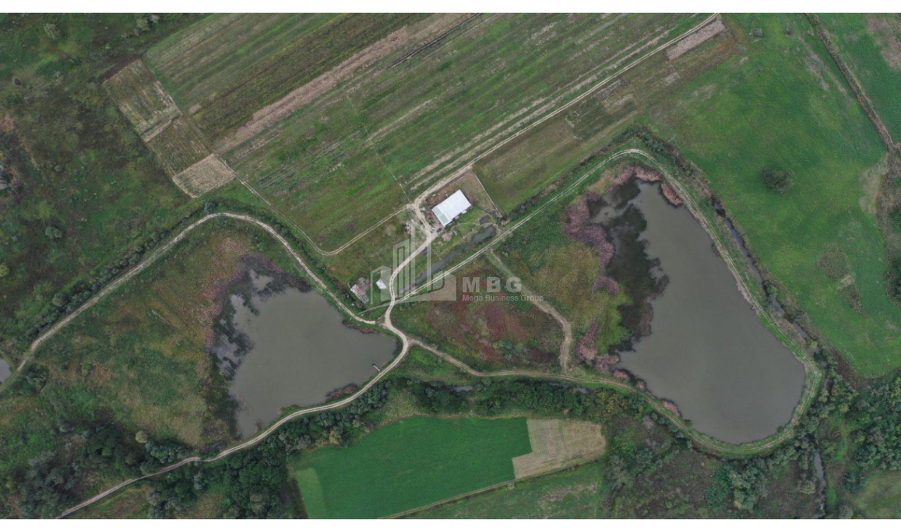 For Sale Vineyard - Chateau Land, in Telavi