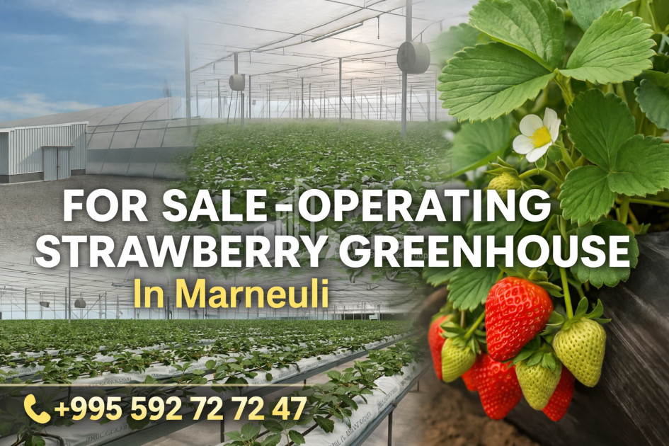 Продается Ферма теплицы Земля В Марнеули