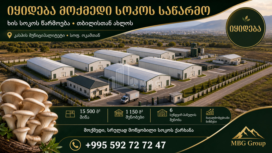 Продается Грибная фабрика Коммерческий В Оками, Каспси
