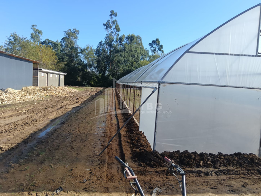 For Sale Land, Nosiri, Senaki, Samegrelo