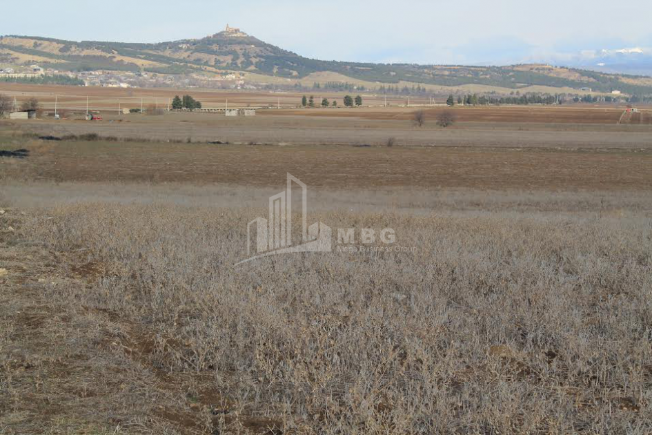 For Sale Orchards Land, in Kvemo Teleti