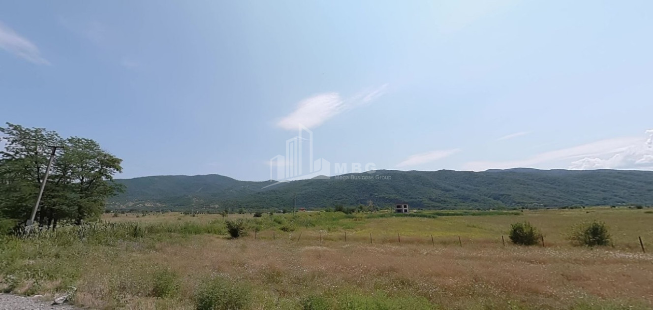 For Sale Land Bichnigauri Dusheti Mtskheta   Mtianeti