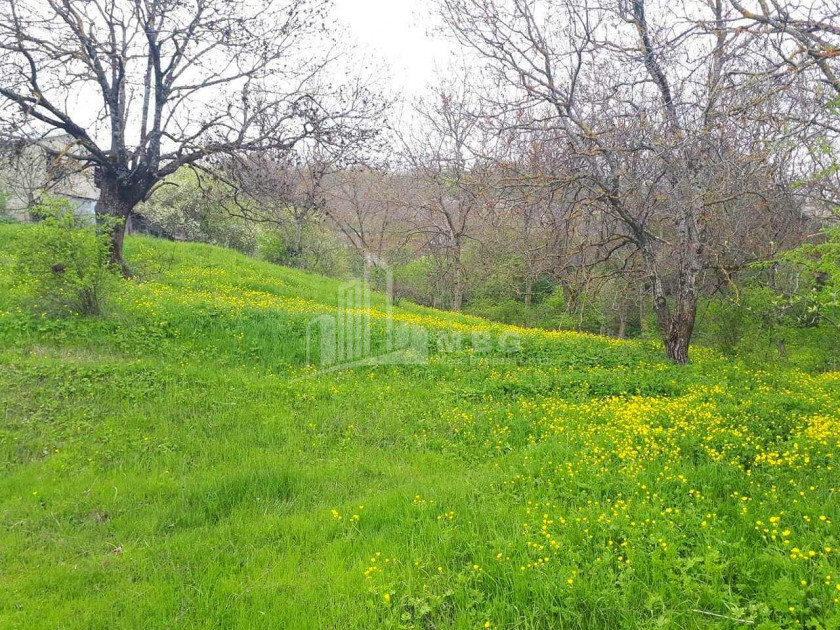 For Sale Residential Land, in Betania