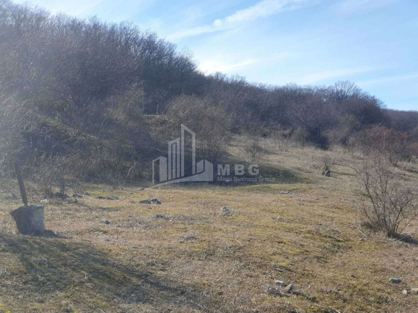 For Sale Country Land, in Tserovani