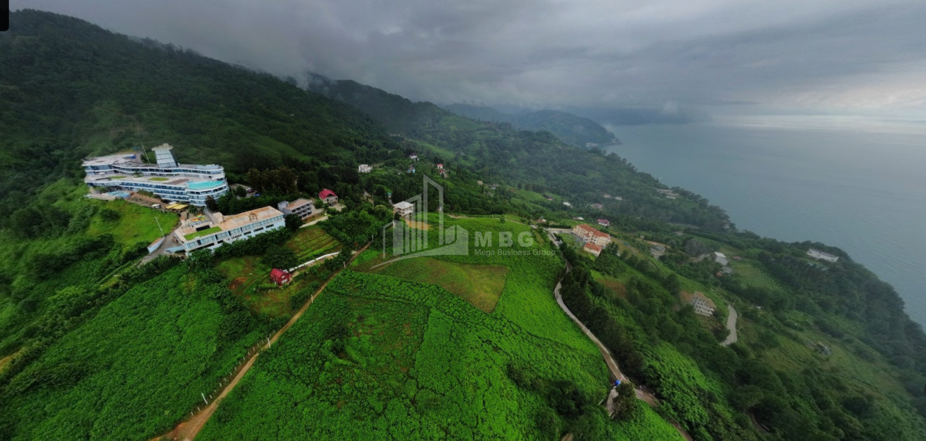 იყიდება კომერციული - არასასოფლო მიწის ნაკვეთი სარფში, ხელვაჩაური