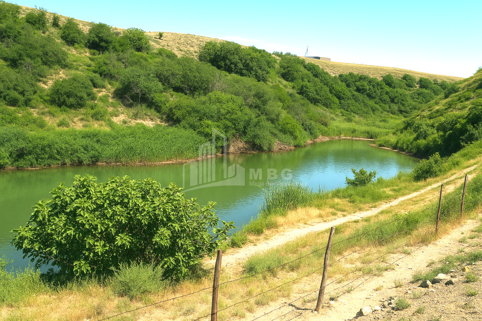 For Sale Land Gachiani Gardabani Kvemo Kartli