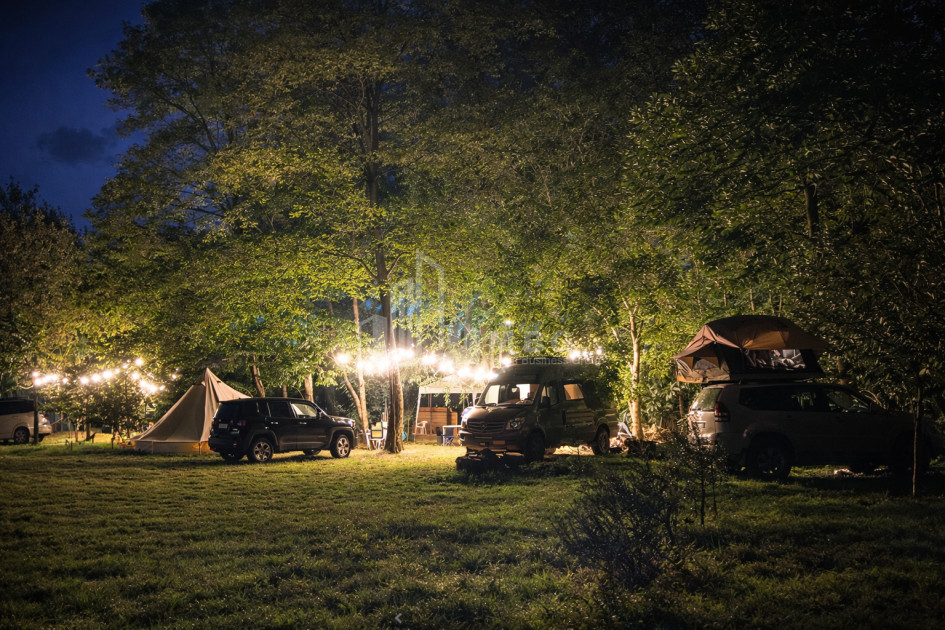 Business for sale Commercial Telavi Kakheti