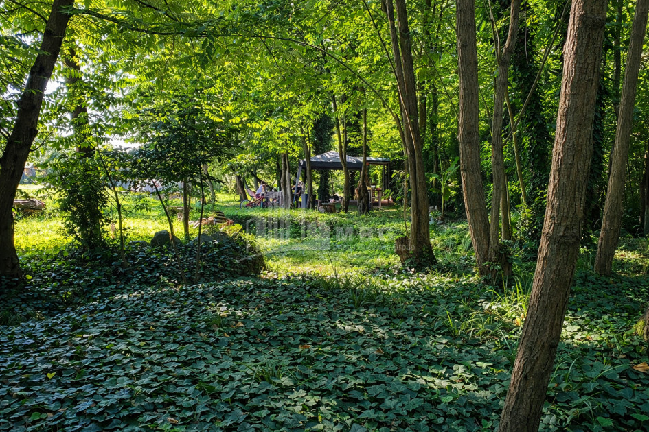 Business for sale Commercial Telavi Kakheti