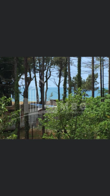 For Sale House - Villa, in Kvemo Natanebi