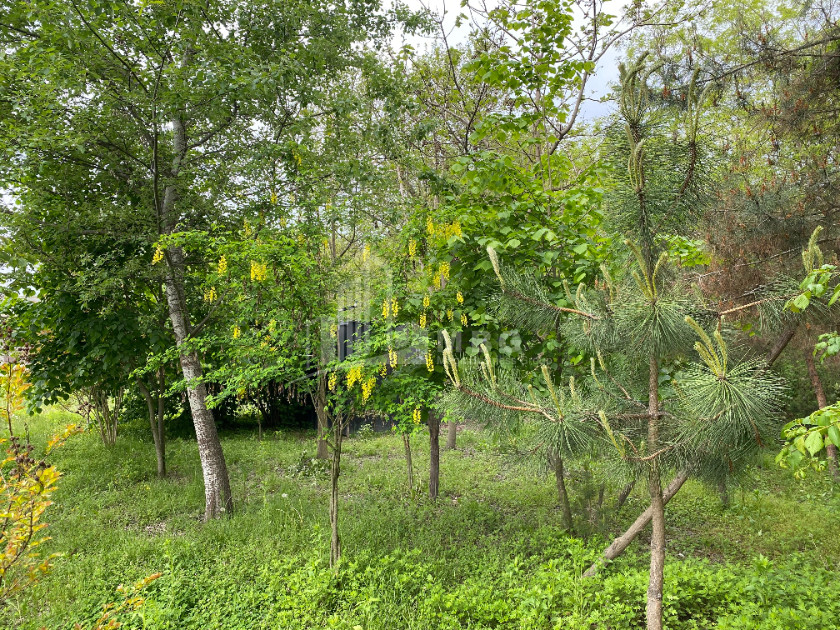 იყიდება ბიზნესი კომერციული ფართი თელავი კახეთი