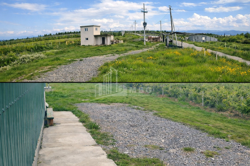 For Sale Vineyard - Chateau Land In Gori