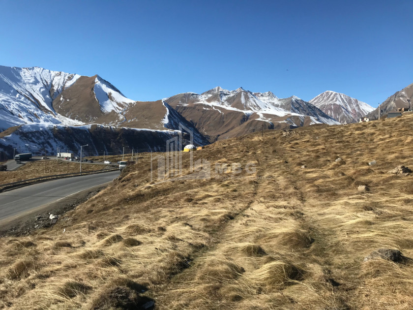 For Sale Land Akhali Gudauri Kazbegi Mtskheta   Mtianeti