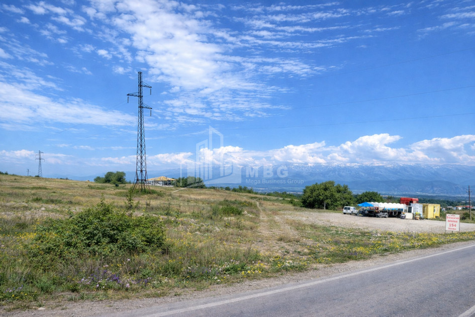 For Sale Land Telavi Kakheti
