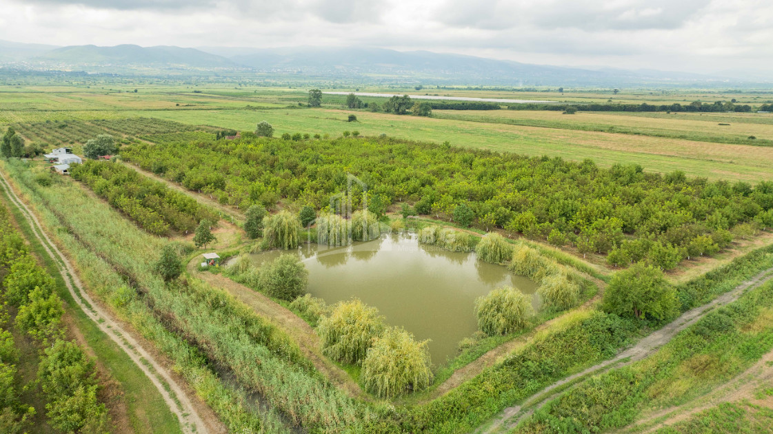 For Sale Land Kakheti