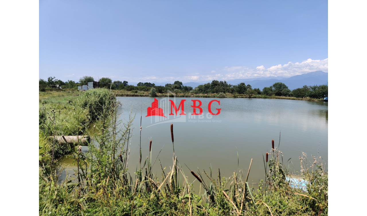 For Sale Vineyard - Chateau Land, in Telavi