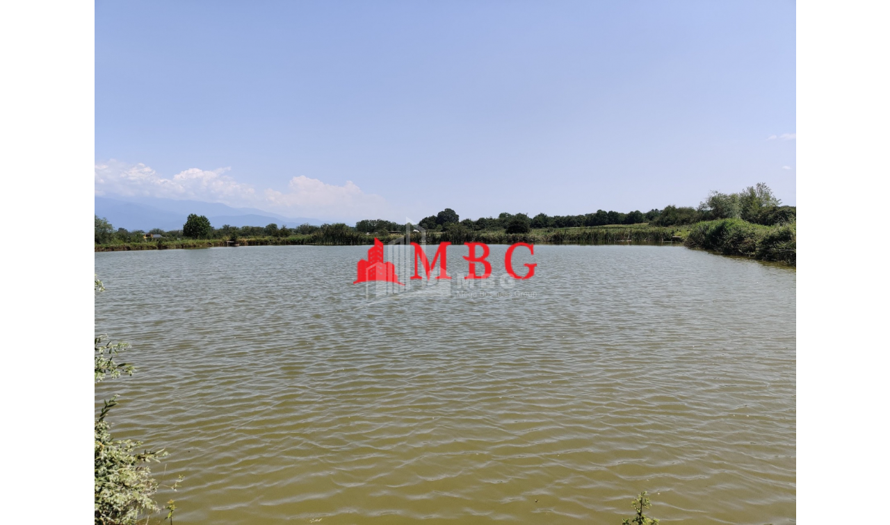 For Sale Vineyard - Chateau Land, in Telavi