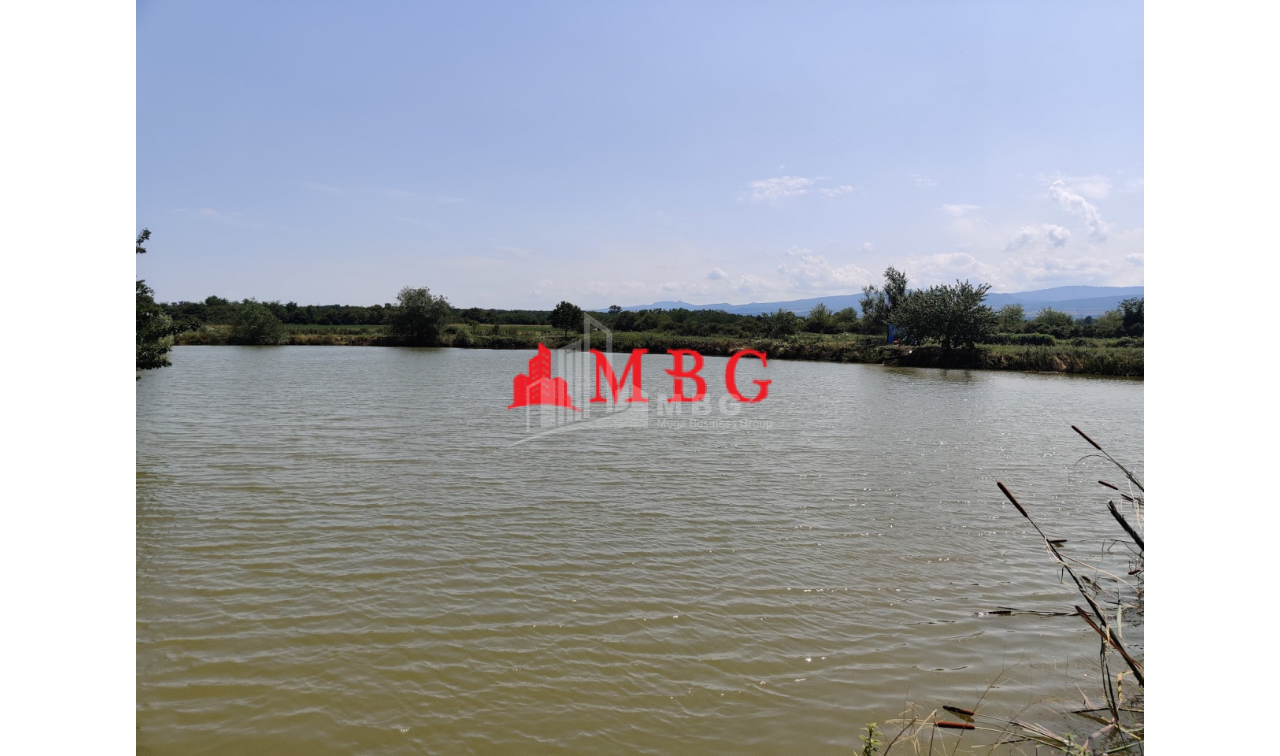 For Sale Vineyard - Chateau Land, in Telavi