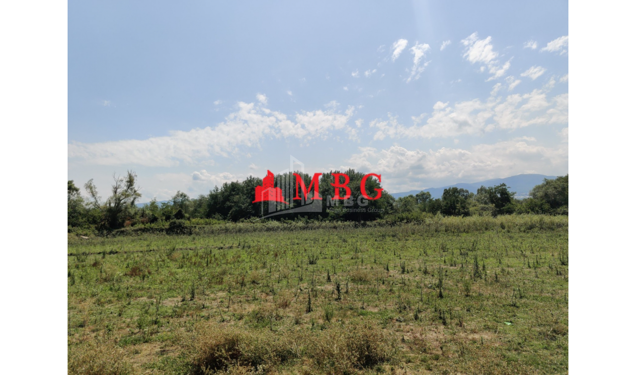 For Sale Vineyard - Chateau Land, in Telavi