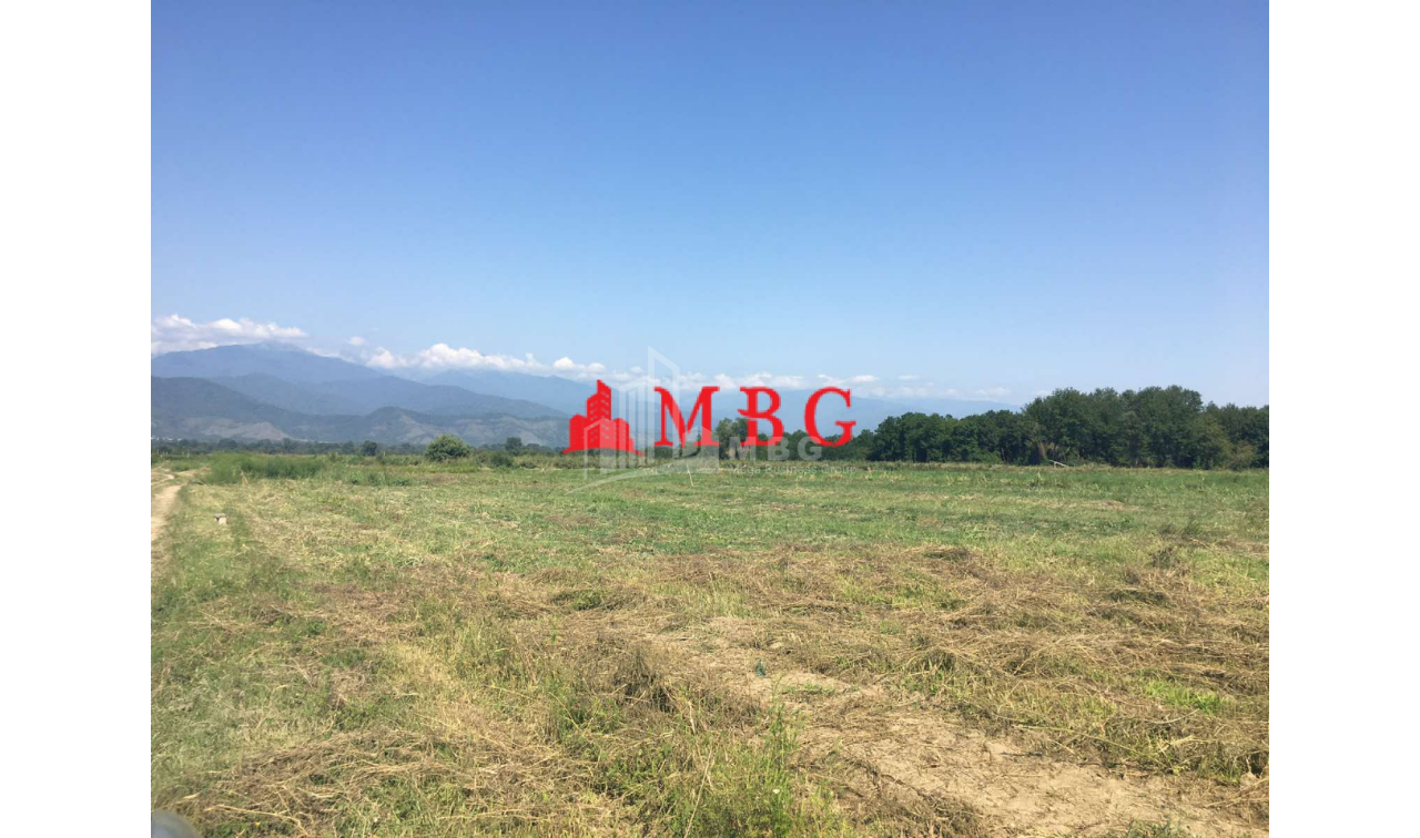 For Sale Vineyard - Chateau Land, in Telavi