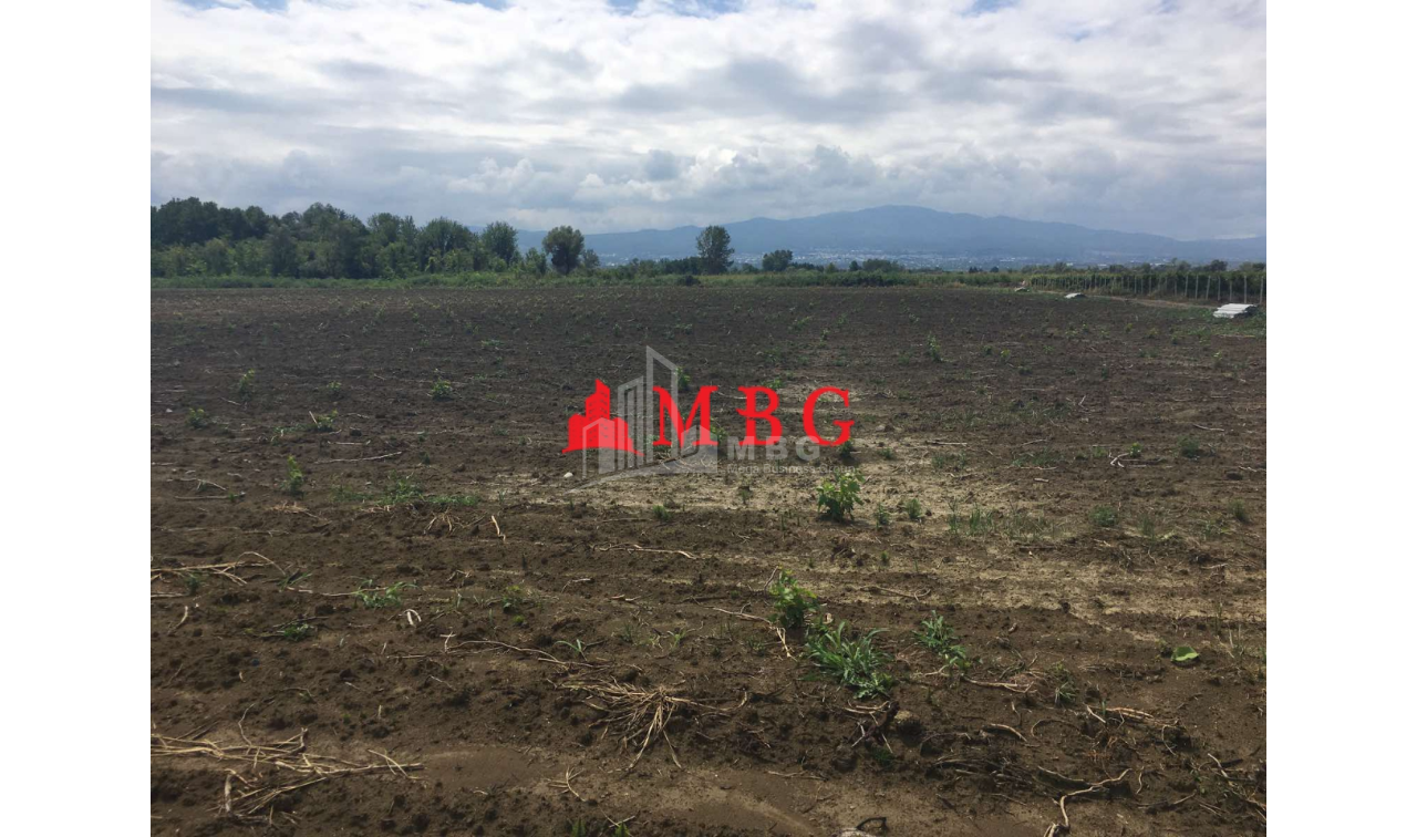 For Sale Vineyard - Chateau Land, in Telavi