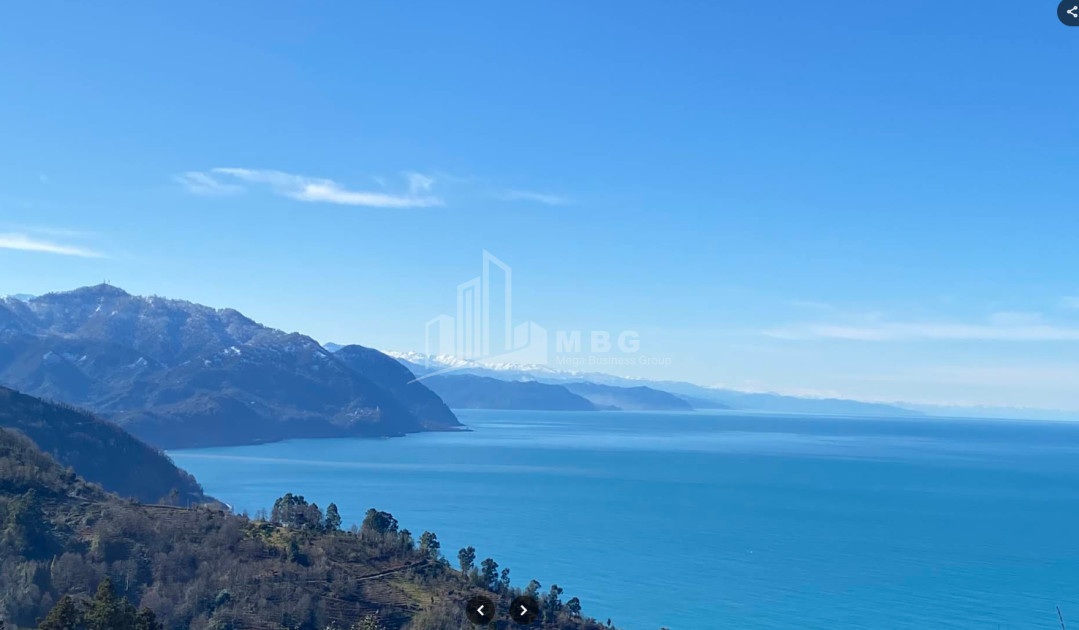 იყიდება კომერციული - არასასოფლო მიწის ნაკვეთი სარფში, ხელვაჩაური