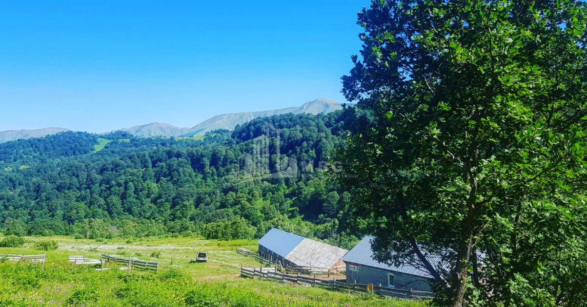 For Sale Agricultural Land, in Tsikhisjvari