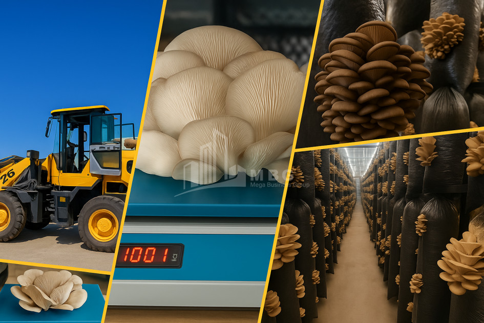 For Sale Commercial Okami Kaspi Shida Kartli