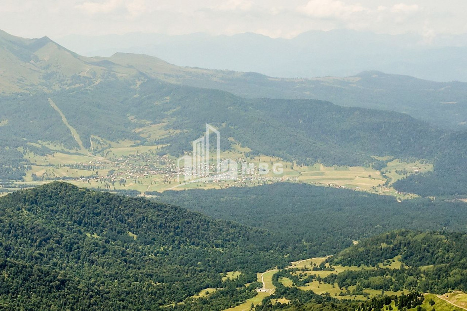 იყიდება მიწის ნაკვეთი ციხისჯვარი ბორჯომი სამცხე   ჯავახეთი