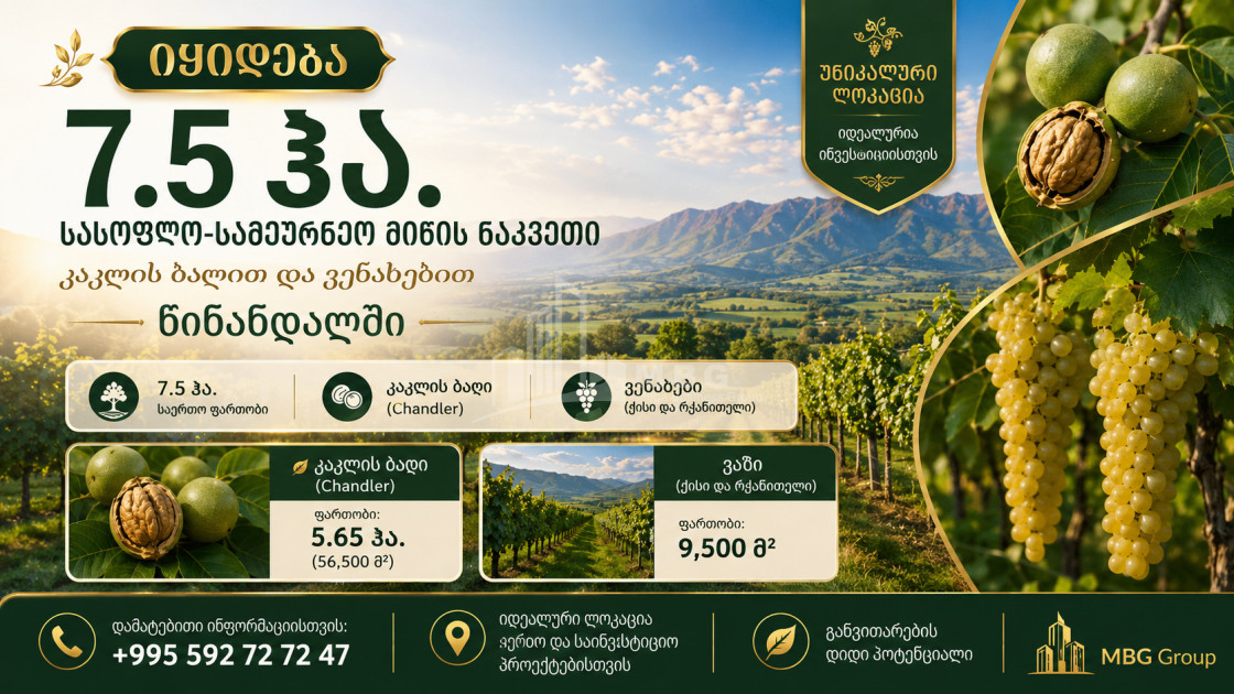 For Sale Orchards Land In Tsinandali, Telavi