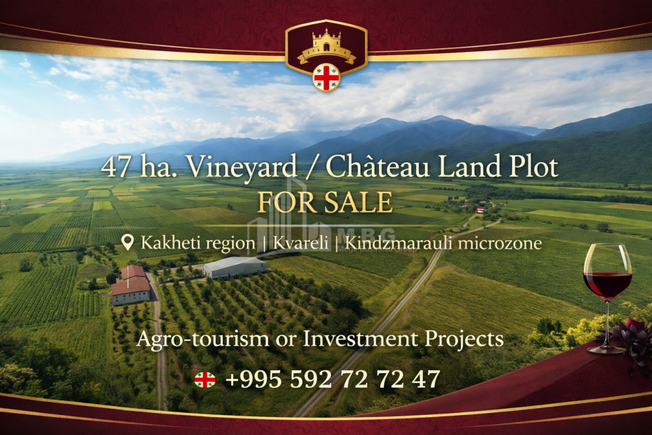 For-Sale-Land-Kvareli-Kakheti