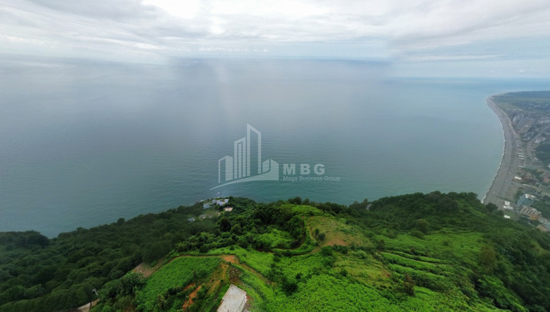 იყიდება კომერციული - არასასოფლო მიწის ნაკვეთი სარფში, ხელვაჩაური