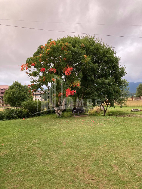 For Sale Hostel - Guesthouse Commercial In Bakuriani, Borjomi