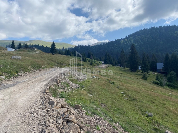 For Sale Country Land, in Khulo