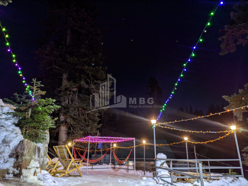 Daily Rent House - Villa, in Bakhmaro