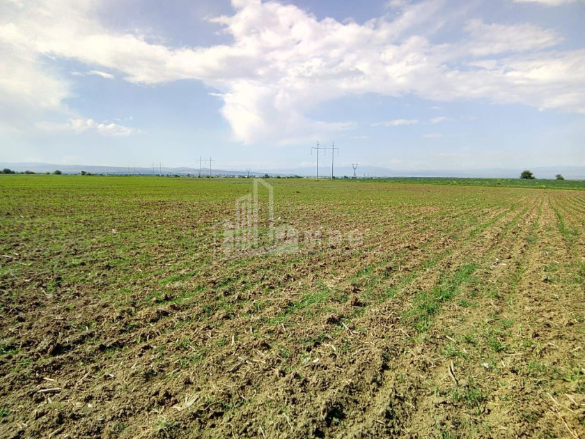 Продается Земля Марнеули Квемо Картли