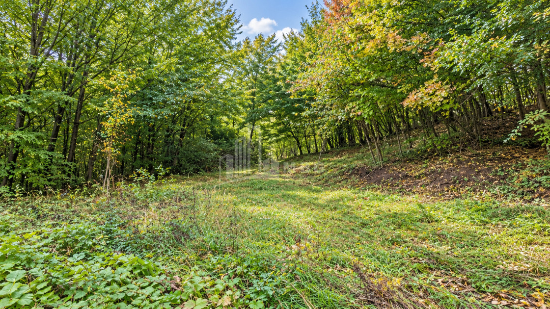 For Sale Country Land In Birtvisi Gorge, Tetritskaro