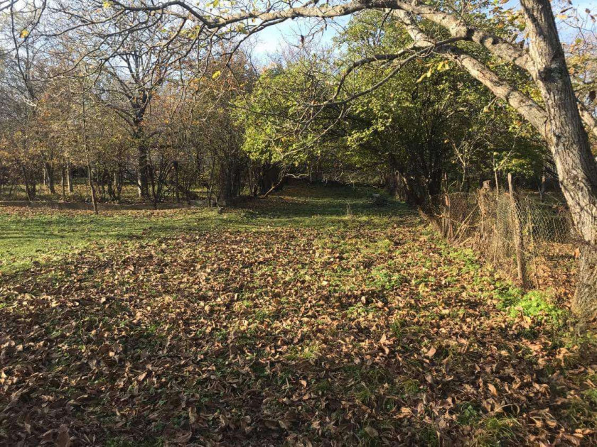 For Sale Residential Land, in Kiketi