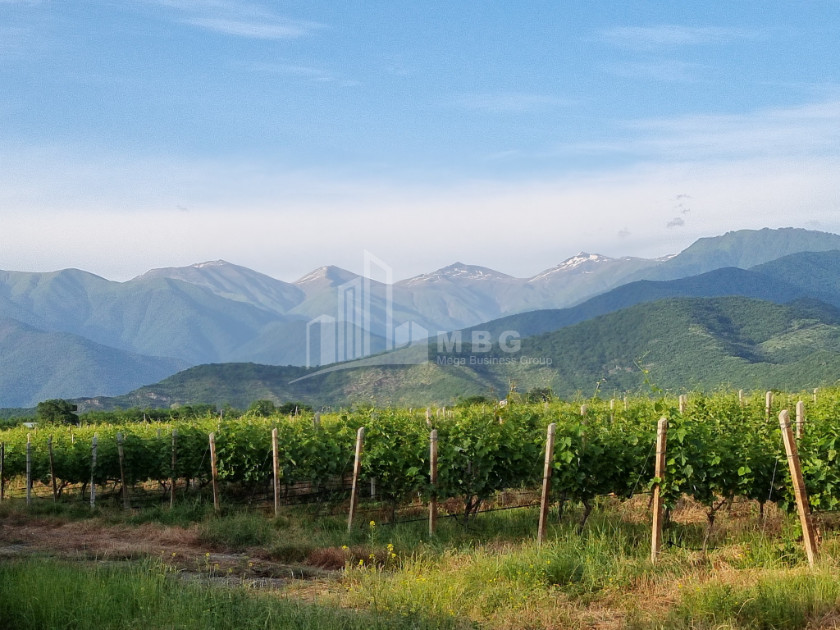 For Sale Commercial Kvareli City Kvareli Kakheti