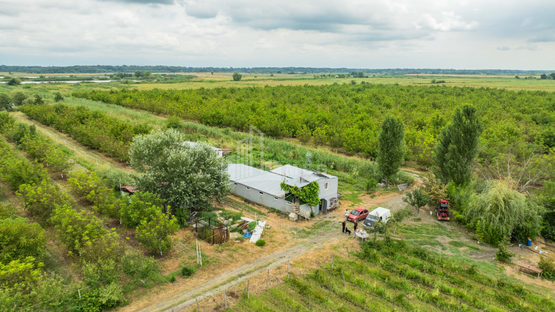 For Sale Land Kakheti